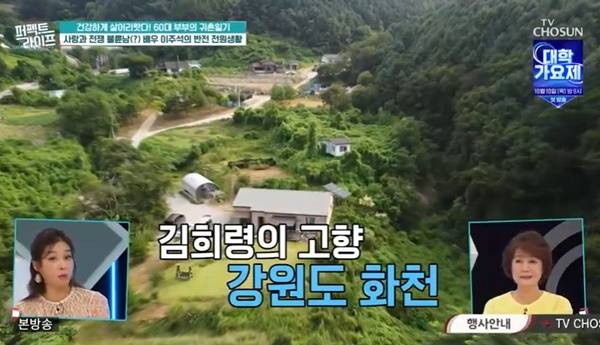 TV조선 ‘퍼펙트라이프’ 캡처