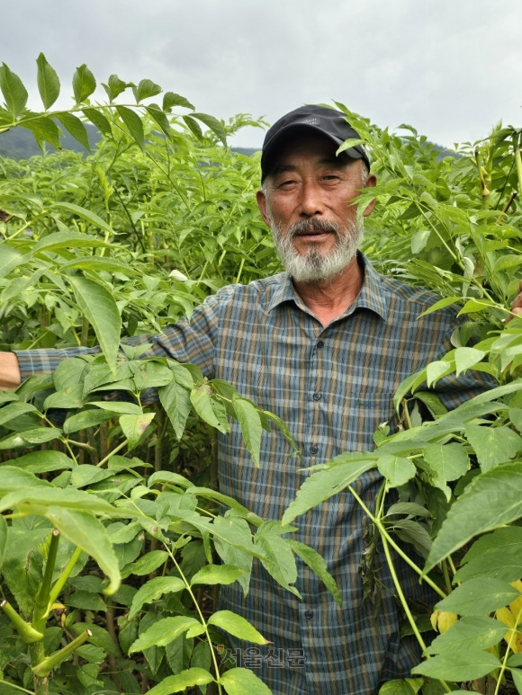 이춘복 대한두릅농업회사법인 회장이 18일 전남 보성군 득량면 두릅농장에서 두릅 농법에 대해 설명하고 있다. 보성 홍행기 기자