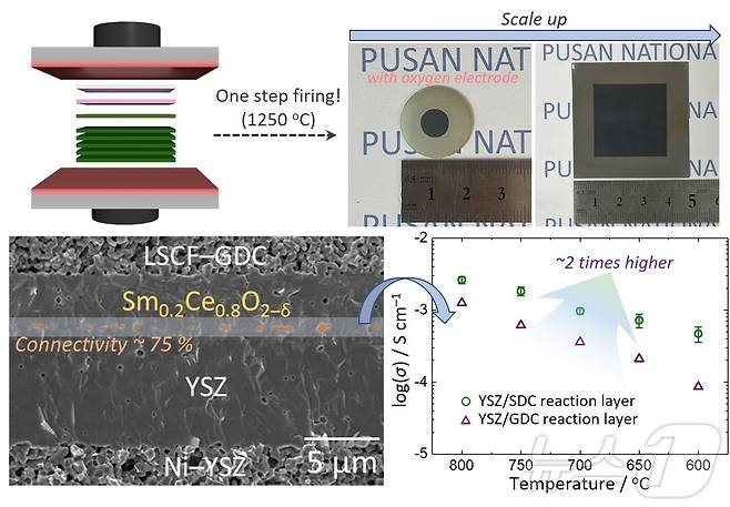 1250도 공소결 단일공정을 통해 형성된 연료극 지지형 전지와 YSZ/SDC 이중층 전해질 특성. (부산대 제공)