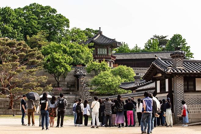 ‘2024 가을 궁중문화축전’의 한 행사로, 고요한 아침에 창덕궁을 산책하며 둘러보는 ‘아침 궁을 깨우다’의 한 장면. 국가유산청 제공