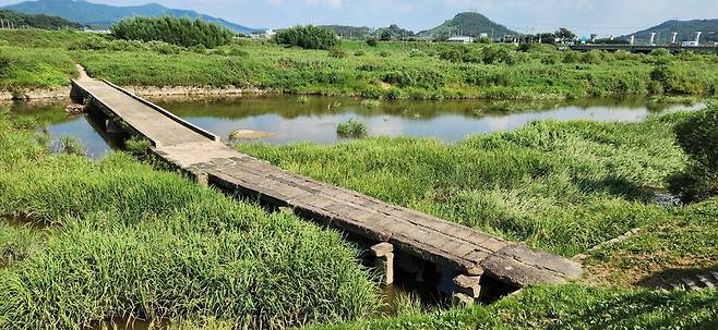 음력 1894년 11월 전남 무안·함평·진도 등의 동학농민군이 나주성 공격에 실패하고 일본군에 의해 학살된 고막천석교. 김용희 기자