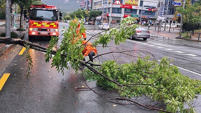 [경남소방본부 제공]