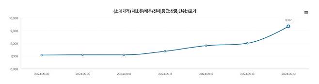 지난 6일부터 19일까지 배추 가격 상승 추이. 한국농수산식품유통공사