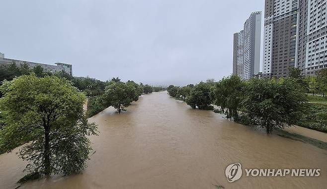 집중호우로 물 불어난 대전 하천 (대전=연합뉴스) 이은파 기자 = 대전지역에 호우경보가 발효된 21일 오전 서구·유성구 일대 도안신도시를 관통하는 진잠천에 많은 물이 흐르고 있다. 2024.9.21 sw21@yna.co.kr