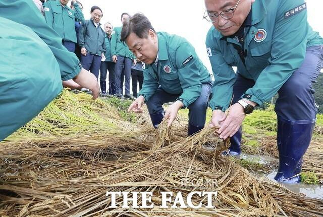 김관영 전북도지사가 벼멸구로 인해 크게 피해를 입은 임실·순창지역에 방문했다. /전북도