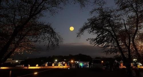 전북 익산 왕궁면 왕궁리 유적 야경. 익산시 제공