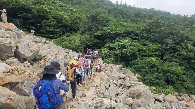 달마고도&코리아둘레길 워킹데이/사진-해남군