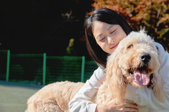 정부가 반려동물 보유세 도입을 검토하고 있다는 한 언론의 보도에 대해 정부가 “검토하고 있지 않다”는 답변을 내놨다. 게티이미지뱅크