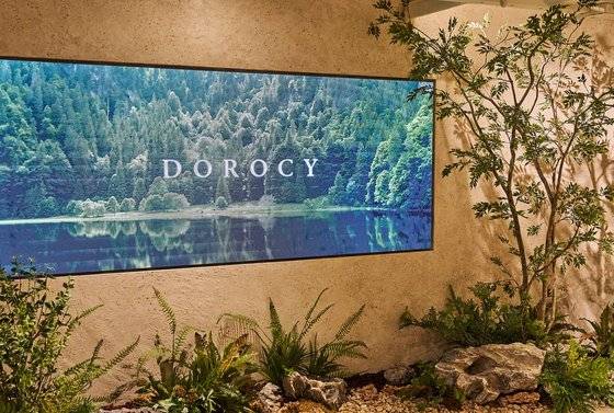 도로시 쇼룸 사진