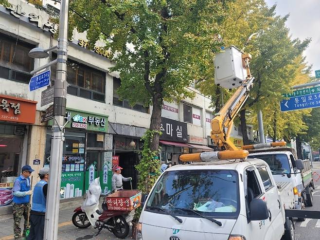 고소작업차가 서울 시내 은행나무 열매를 제거하고 있다. 서울시 제공