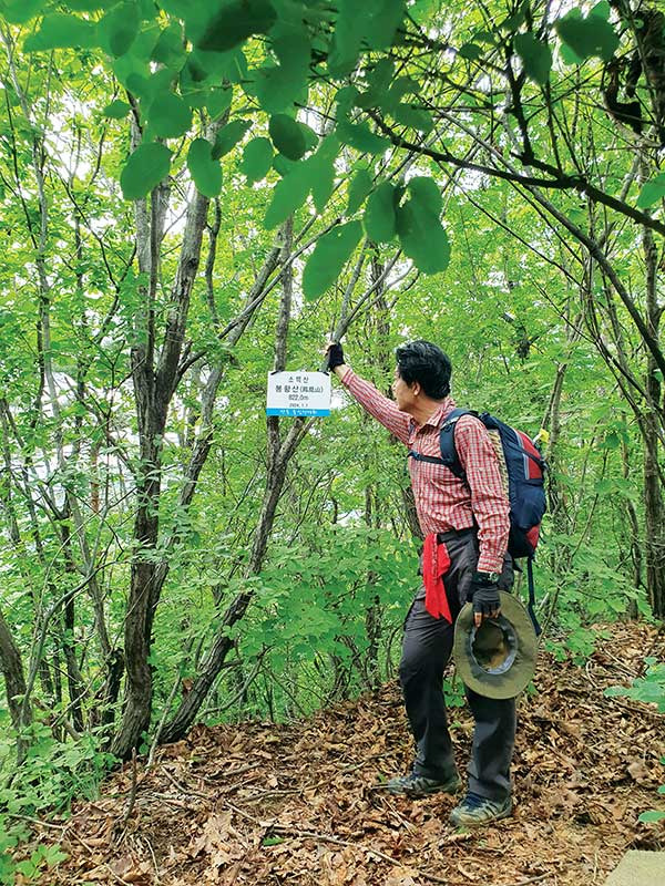 봉황산 정상.