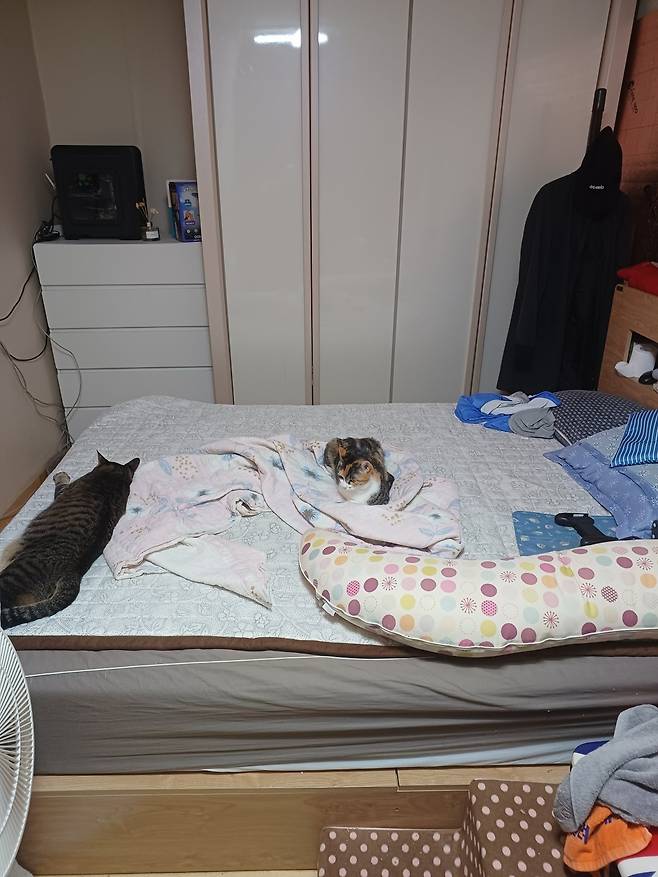 KakaoTalk_20240923_110142899_11.jpg 침대 킹 사이즈를 샀는데...