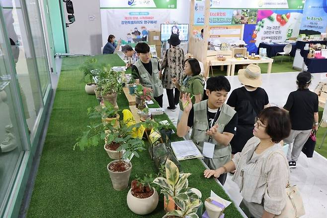 지난달 31일 ‘이동형 반려식물 클리닉’의 가드너들이 시민들을 만나 반려식물에 관한 상담을 하고 있다. 한국수목원정원관리원 제공