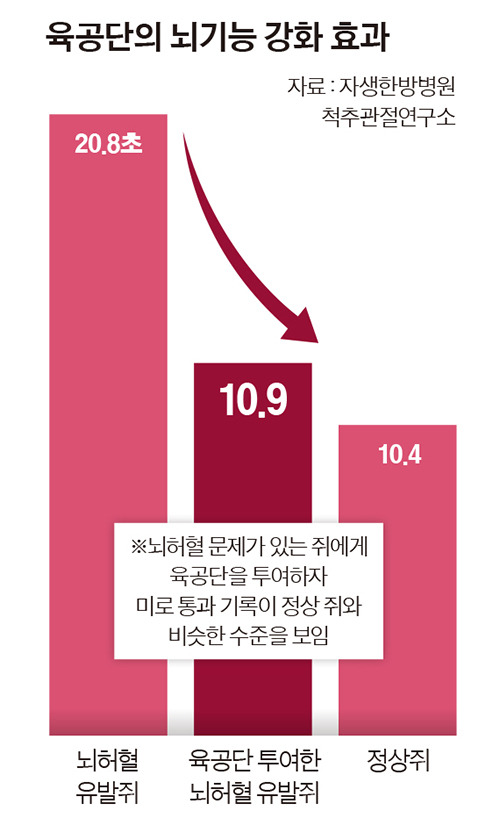 그래픽=이윤채 lee.yoonchae@joongang.co.kr