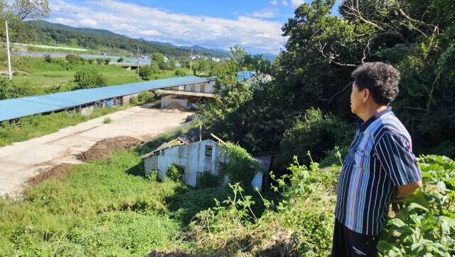 양평군 상록마을 주민들의 집 주변을 석면 슬레이트 지붕과 벽면이 내려앉은 폐건물들이 둘러싸고 있다. 오민주기자