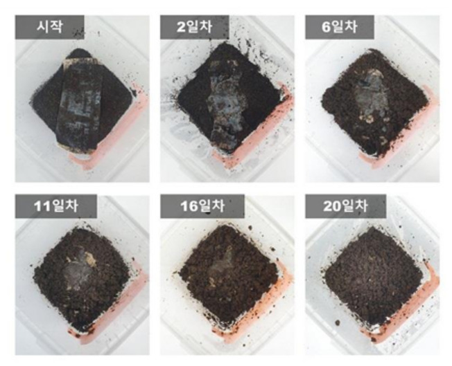 20일 만에 분해되는 생분해 필름.[KAIST 제공]