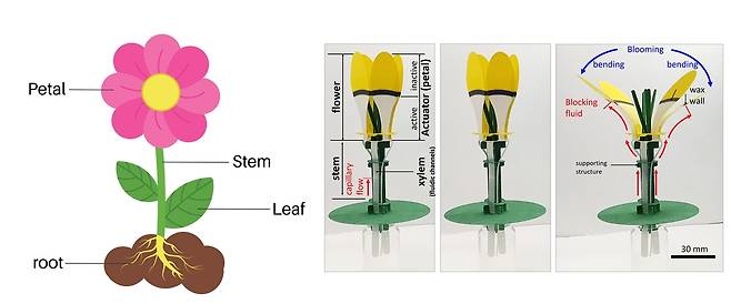 '완전 자율형 식물 모방 소프트 로봇' 개념도 [충남대 제공. 재판매 및 DB 금지]