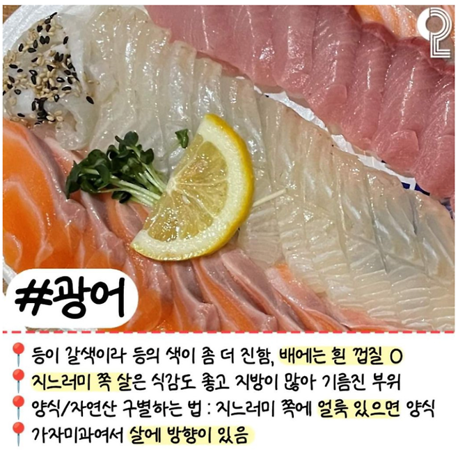 image.png 회 러버들이 꼭 알고 있어야 할 알고 먹으면 더 맛있는 모듬회 간단정리