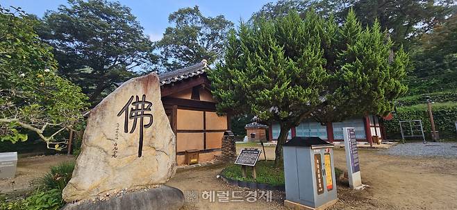백범당 앞 향나무