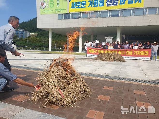 [무안=뉴시스] 전국농민회총연맹 광주전남연맹 등 농민단체들이 26일 오전 전남도청 앞 기자회견을 열고 볏짚 태우기 퍼포먼스와 함께 벼멸구 피해를 재해로 인정해 줄 것을 촉구하고 있다. (사진=독자 제공) 2024.09.26. photo@newsis.com  *재판매 및 DB 금지