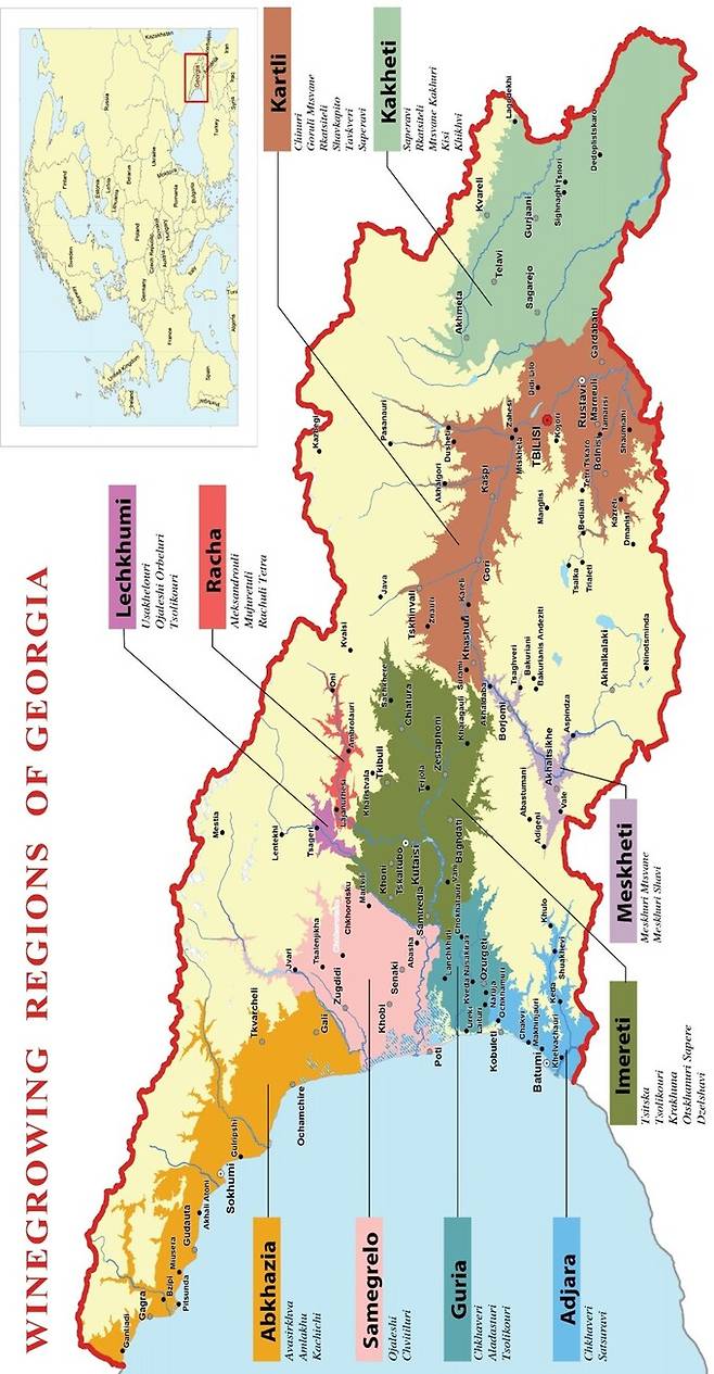 조지아 와인 산지. 조지아와인협회