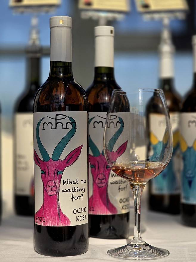 오초 키시 앰버. 최현태 기자