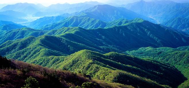 산청군에서 바라본 지리산 전경 ⓒ산청군