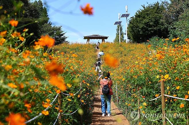 가을 즐기기 (서울=연합뉴스) 서대연 기자 = 완연한 가을 날씨가 이어진 25일 서울 송파구 올림픽공원 들꽃마루에서 시민들이 산책하고 있다. 2024.9.25 dwise@yna.co.kr