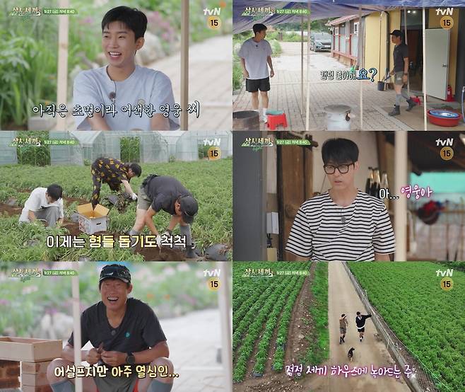 사진 제공: tvN <삼시세끼 Light>