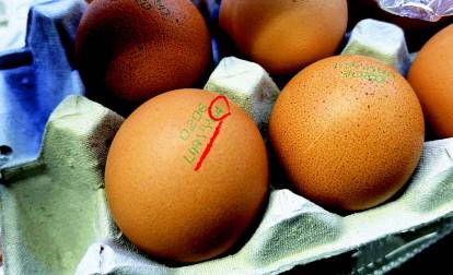 마트에서 판매되는 난각번호 4번 달걀