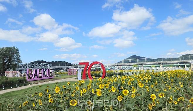 가을 꽃밭&nbsp; 금강신관공원