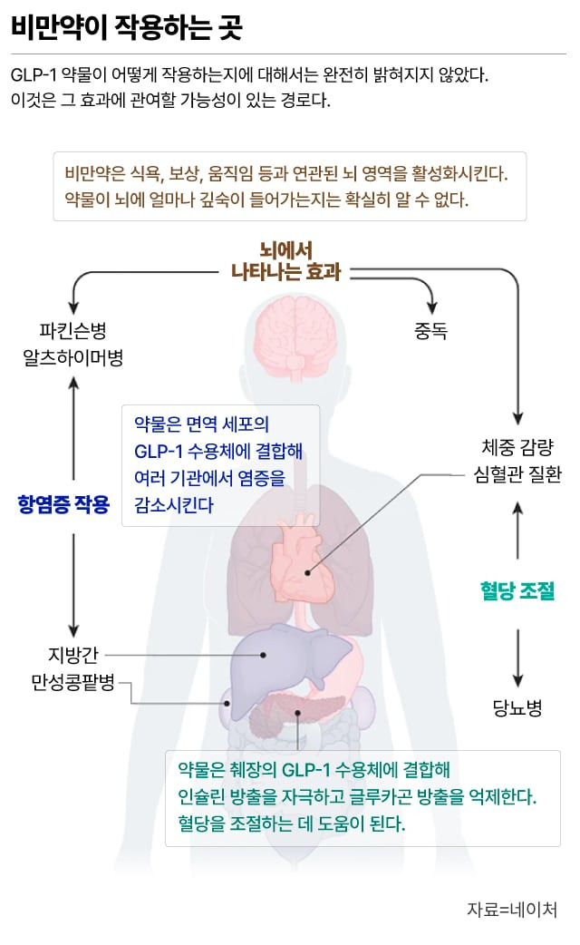 그래픽=손민균