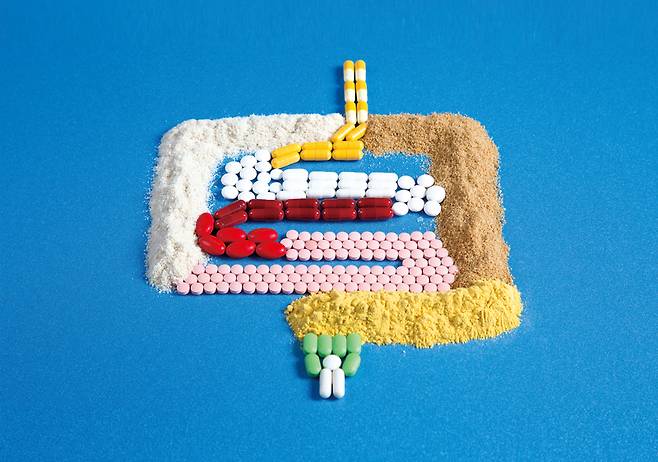 ⓒ시사저널 임준선