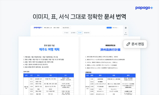 파파고 플러스 문서번역. 네이버 제공