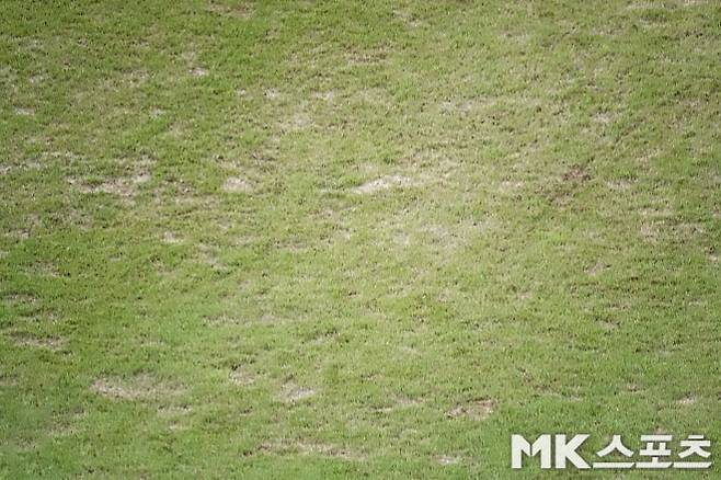 최근 K리그 잔디. 사진=이근승 기자