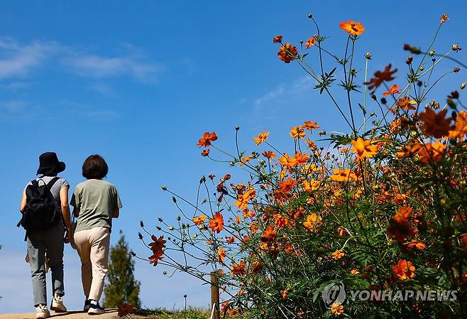 가을 하늘로 [연합뉴스 자료사진]