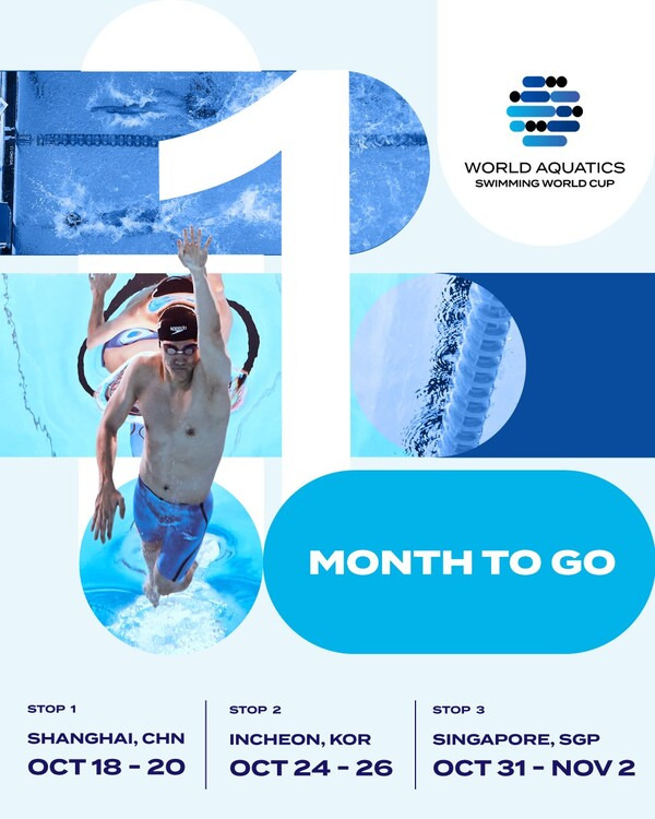 2024 AQUA 경영월드컵 일정. 사진┃대한수영연맹