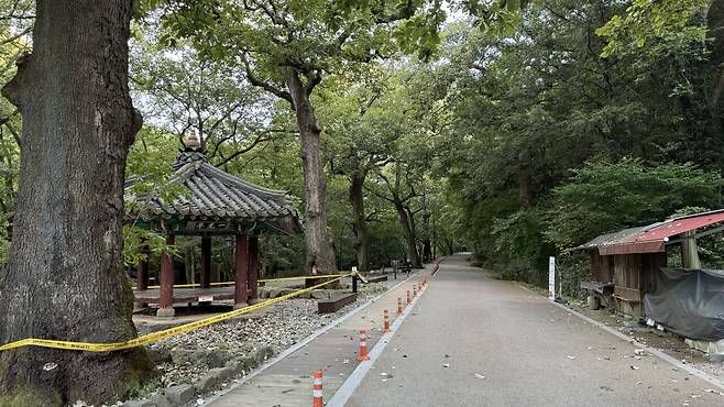 IMG_1552.jpeg 경치가 끝내주는 이른아침 내장산 국립공원의 백양사