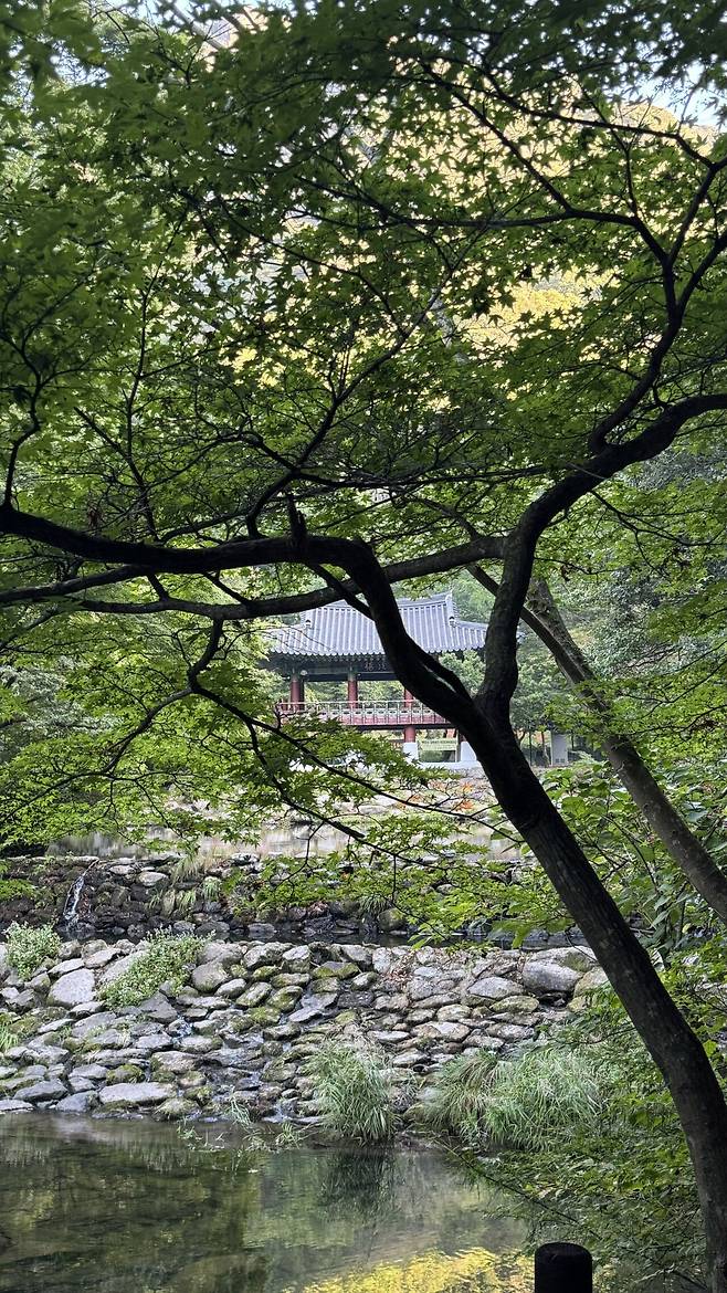 IMG_1565.jpeg 경치가 끝내주는 이른아침 내장산 국립공원의 백양사