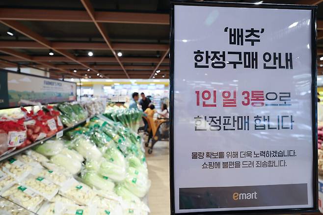 폭염으로 배춧값 강세가 이어지는 가운데 지난 29일 오전 서울 시내 한 대형마트에 배추 한정 구매 안내문이 게시돼 있다. 연합뉴스