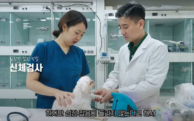 이민수 에스디(SD)동물의료센터 원장은 최근 유튜브 채널을 통해 강아지 심장병 진단 방법에 대해 설명했다. (에스디동물의료센터 유튜브 채널 갈무리) ⓒ 뉴스1