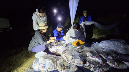 지난 6월 민간단체 겨레얼통일연대가 대북전단을 날리고 있다. 연합뉴스