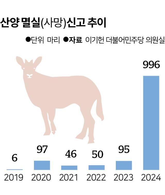 산양 멸실(사망)신고 추이. 송정근 기자