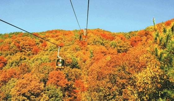 지난해 12월 국내 23번째 국립공원으로 승격된 팔공산은 케이블카를 타고 해발 820m 높이까지 오를 수 있다. 전망대에서는 팔공산의 경치와 대구 시내를 한눈에 조망할 수 있다. 가을이면 곱게 물든 단풍이 등산객을 반겨준다. [사진 대구시]