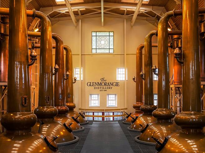 스코틀랜드에서 목이 가장 긴 글렌모렌지의 증류기 모습. /glenmorangie