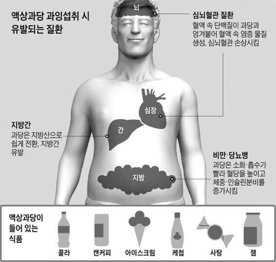 prs.jpg 액상과당 섭취시 일어나는 일