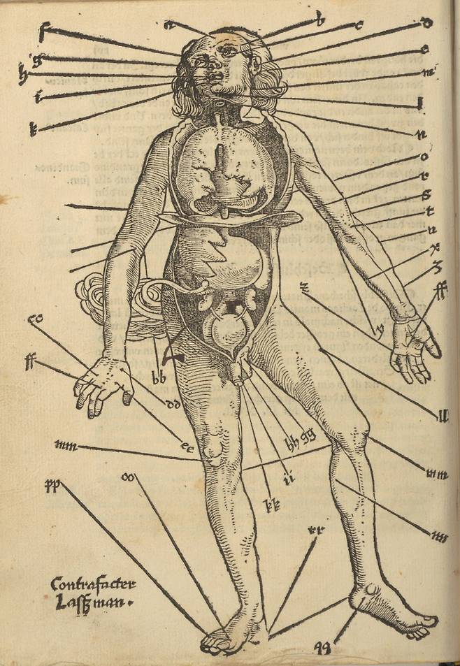 <전장에서의 외과 처치법>(1517)에 실린 도판. 전장에서 해부학 지식이 발전했다. 해나무 제공