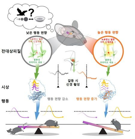 한국연구재단 제공