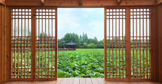 연화정 도서관 전망 / 사진=비짓 전주