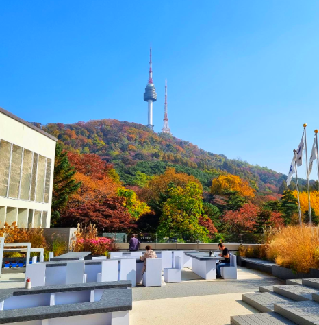 남산하늘뜰 / 사진=남산도서관 인스타그램